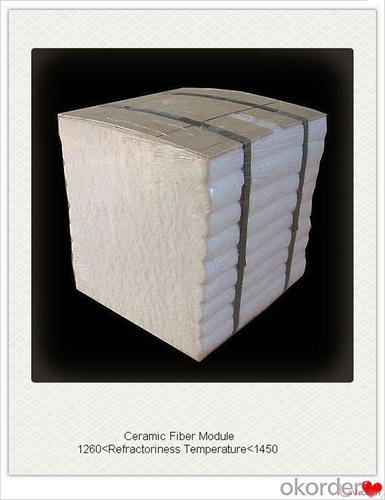 Ceramic Fiber Module with Low Thermal Conductivity Veneering System 1