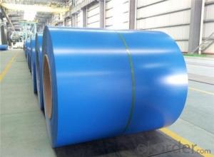 ASTM Prepainted Rolled Steel Coil for Outdoor Decking System 1