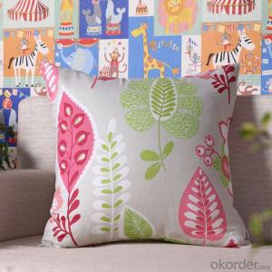 Cheap Pillow Cushion Cover with Digital Printing from China Manufacturer