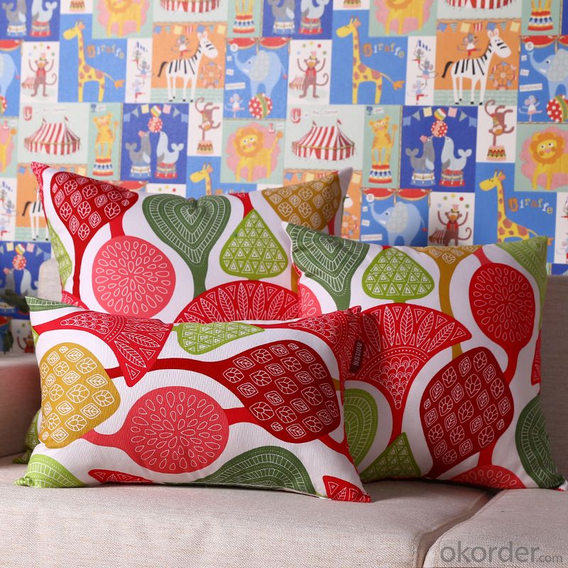 Fashion Pillow Cushion Cover with Digital Printing and Good Quality