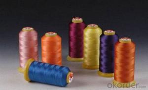 PA6/PA66 100% Plastic Nylon Yarn for Rope System 1