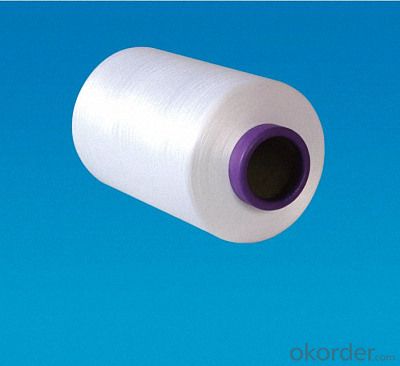 Raw White 100% Plastic Nylon 6/66 FDY Yarn