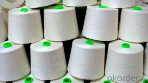 White Color Nylon 6/66 Yarn DTY for Rope System 1