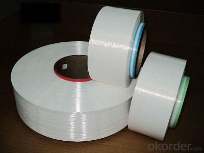 Raw White 100% Plastic Nylon 6/66 FDY Yarn