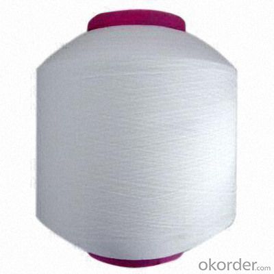 Raw White 100% Plastic Nylon 6/66 FDY Yarn