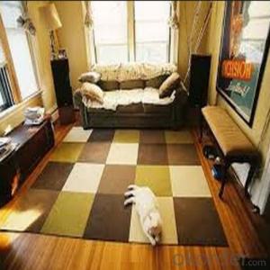 Luxury Living Room Rug Carpet Fireproof Indoor