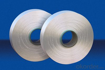 100% Plastic Nylon 6 Texture Yarn for Rope System 1