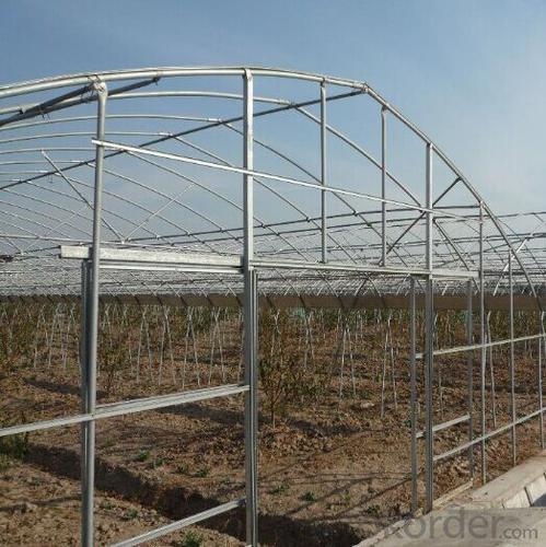 Agriculture Green House China Green House Manufacturer System 1