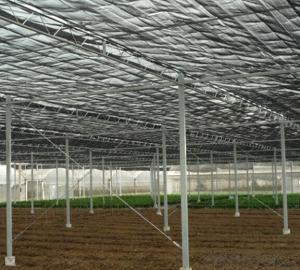 Single Span Greenhouse for Vegetable Fruits Agricultural Greenhouses