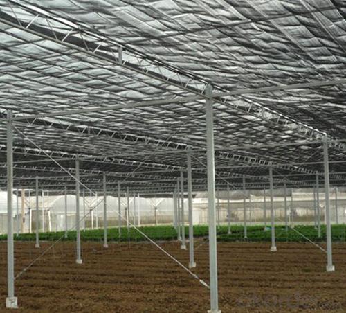 Single Span Greenhouse for Vegetable Fruits Agricultural Greenhouses System 1
