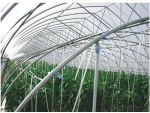 Economical Green Houses on Agricultural Market