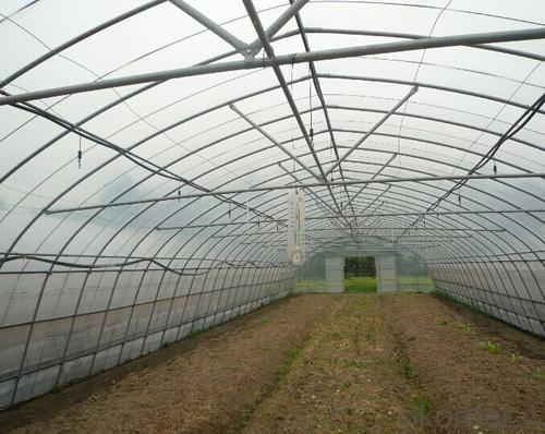 Multispan Plastic Film Greenhouse for Tomato Cucumber Flower Horticulture System 1