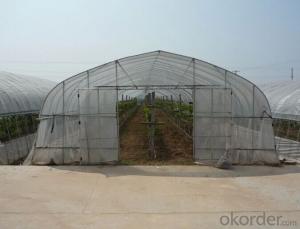 Venlo Glass Greenhouse for Agricultural Usuage