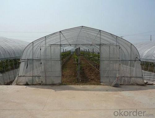Venlo Glass Greenhouse for Agricultural Usuage System 1