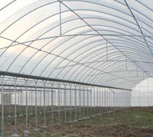 Galvanized Steel Frame Agriculture Greenhouse ISO9001:2008