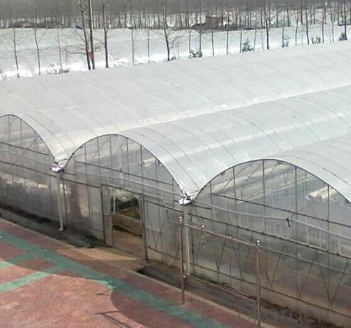 Multispan Tunnel Greenhouse for Strawberry Grape Raspberry System 1