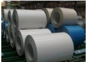 Pre-Painted Galvanized Steel Sheet,Coil in Prime Quality  White Color System 1