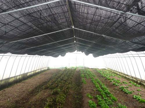 New Professional Product Transparency Agriculture Material System 1