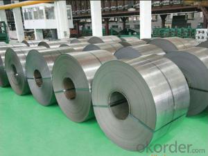 Pre-Painted Galvanized Steel Roofing Sheet/Hot Dipped Galvanized Steel Coil System 1