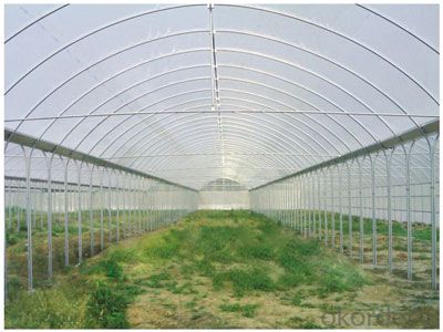 Multispan Agricultural Greenhouse for Fruit Vegetable Use