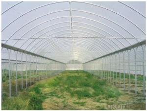 Multispan Agricultural Greenhouse for Fruit Vegetable Use