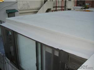 PVC Roofing Waterproof Membrane/Professional Waterproof Membrane