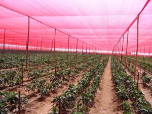 Sun Shade Sail Sunshade Net Shade Sail Shade Cover For Garden and Construction Agriculture System 1