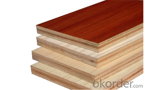 Fancy Plywood from Professional Factory with High Quality System 1