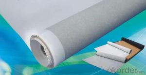 PVC Waterproofing Membrane Polyester Scrim Reinforced