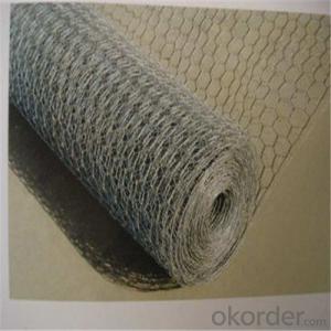 Galvanized Hexagonal Wire Netting / Chicken Wire Mes High Quality System 1