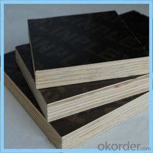 9mm & 12mm Black Film Faced Plywood for Nepal Market