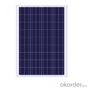 Solar  Polycrystalline  Panels Max Power250W