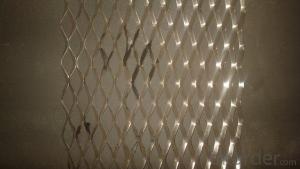 Expanded Metal Mesh For The Constriction