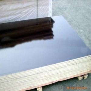 AAA Grade WBP Glue Film Faced Plywood for Construction Usage System 1
