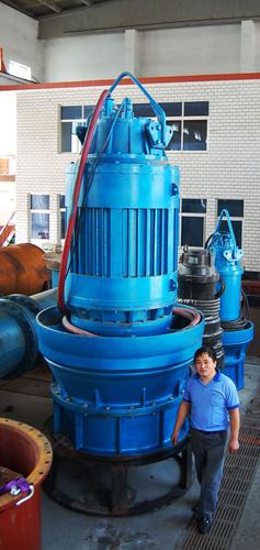 Vertical Submersible Axial Flow / Mixed Flow Water Pump System 1