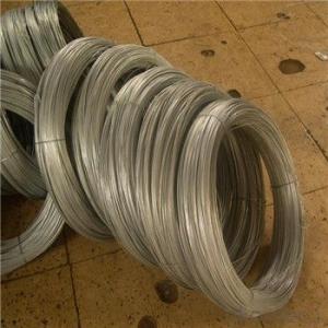 Galvanized Wire Mesh from Factory Directly Lower Price