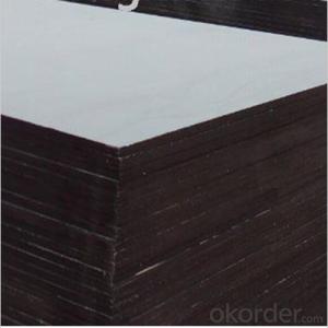 Poplar Material Film Faced Plywood for Outdoor Using