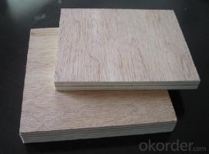 Bintangour Face and back Commercial Plywood Furniture Use System 1