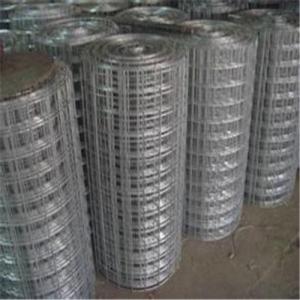 Galvanized Wire Mesh/Hot Dipped Electro Galvanized Good Quality System 1