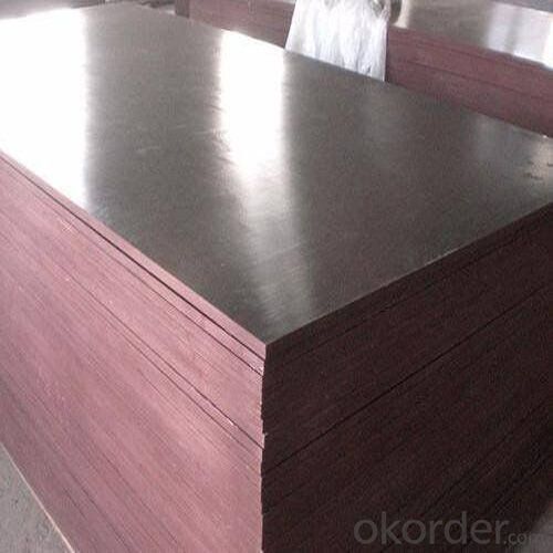 Poplar Core Film Faced Plywood with Good Quality and Competitive Price