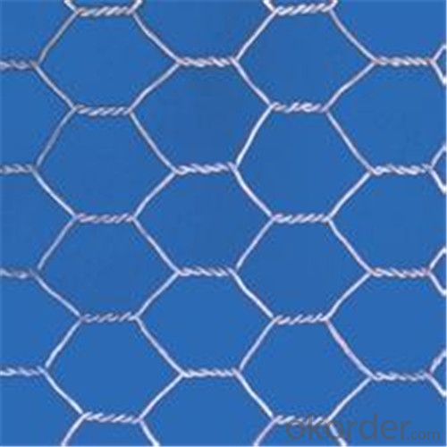 Hexagonal Iron Chicken Poultry Wire Garden Fencing Net, 30 Inches at Rs  140/kg in Rangareddy