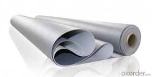 PVC Plastic Waterproof Membrane for Underground System 1
