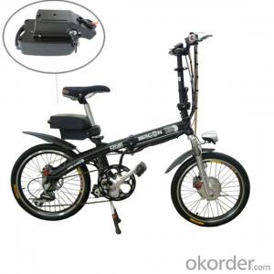 Lithium Battery Pack for Electric Bike 36V