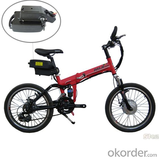 Lithium Battery Pack for Electric Bike 36V