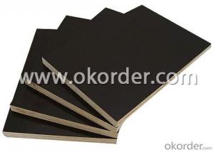 Finger Jointed Core Black Film Faced Plywood