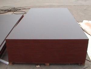 Poplar Core Brown Film Faced Plywood for Construction System 1