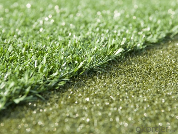 PP Outdoor Sports Golf Artificial Turf from China