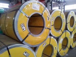 Pre-Painted Color Coated Galvanized Steel Coil for Building System 1