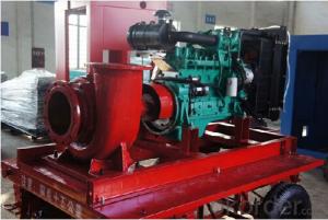 Horizontal Axial/Mixed Flow Water Pump for Pump Station