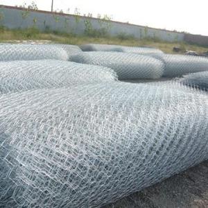 Galvnized Wire Mesh Hot Dipped and Electro Galvanized BWG12-26 System 1